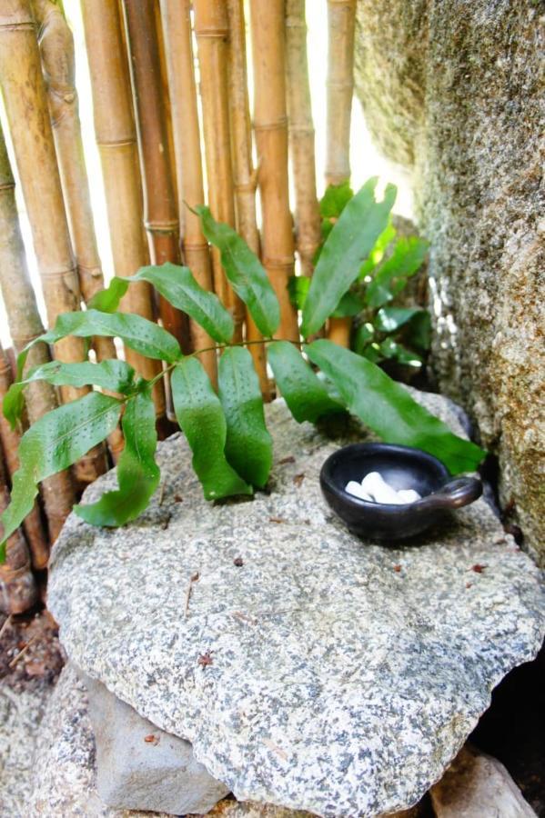 Ecofinca Fuente Alegre Cocorná Buitenkant foto