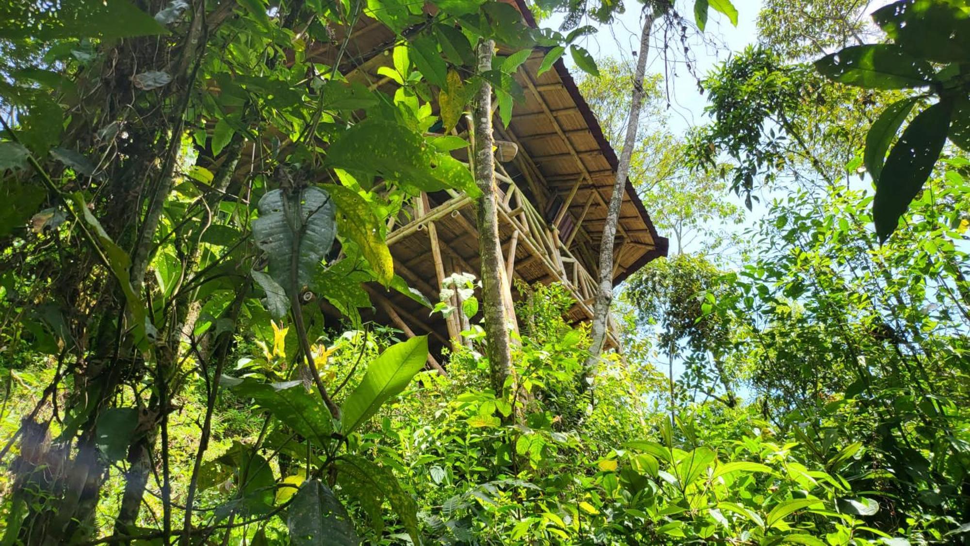 Ecofinca Fuente Alegre Cocorná Buitenkant foto